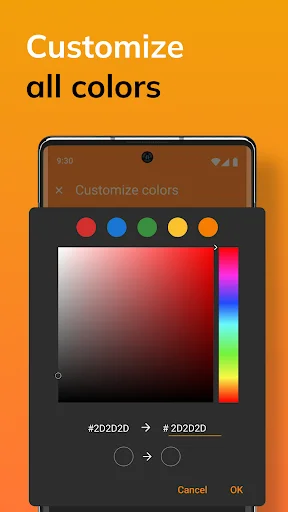 Simple Camera app color theme customization menu with rainbow color picker and hex code input fields