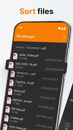 File sorting feature in Simple File Manager showing PDF documents list with file sizes and modification dates for organization