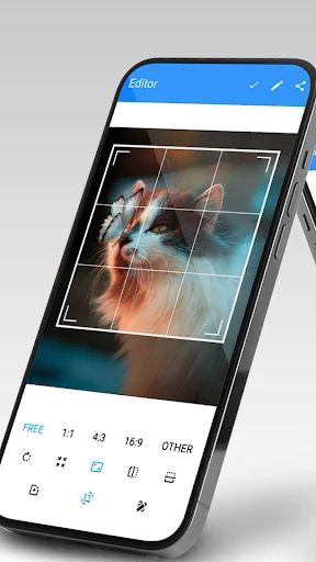Photo editor interface in Simple Gallery app with crop tool active showing grid overlay on image - picture editing features