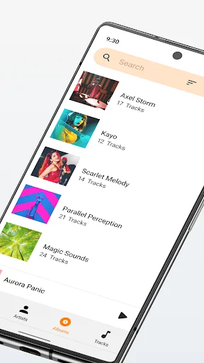 Music player app showing artist albums view with cover art thumbnails and track counts for organized music collection browsing